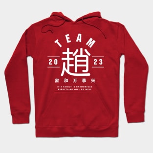 Team 趙 Zhao / Chiu Hoodie